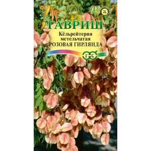 Кёльрейтерия Розовая Гирлянда 10шт