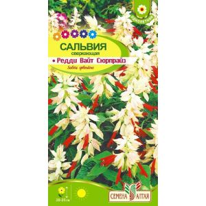 Сальвия Редди Вайт Сюрпрайз 5 шт.