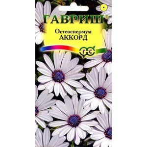 Остеоспермум Аккорд Белый 0,1гр.