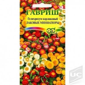 Гелихризум Лаковые миниатюры карлик 0,1гр