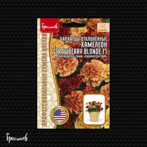 Бархатцы отклонённые Хамелеон Strawberry Blonde F1 5шт