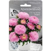 Хризантелла Элвис 30шт