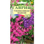 Смолевка Шансон повислая 0,1г