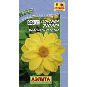 Георгина Фигаро Желтый махровая