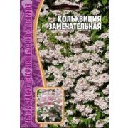 Кольквиция Замечательная 4 шт