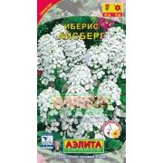 Иберис Айсберг однолетний