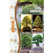 Ель Аянская 10 шт.