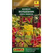 Колеус Волшебник Блюме смесь 5шт