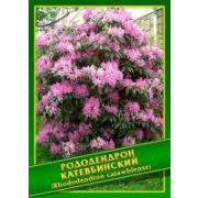 Рододендрон Катевбинский 10 шт.