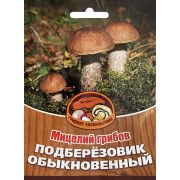 Грибы Мицелий Подберезовик обыкновенный