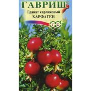 Гранат Карфаген карликовый