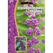 Красивоплодник Бодинье 7 шт.