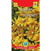 Рудбекия Айриш Айз