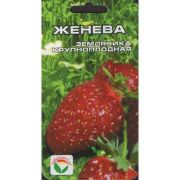 Земляника Женева 10 шт