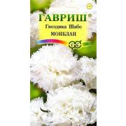 Гвоздика Шабо Монблан