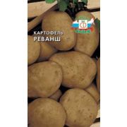 Картофель Реванш