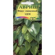 Фикус Священнный Эдем 0,03гр.