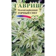 Молочай Окаймленный Горный Снег 0,5 гр.