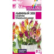 Львиный Зев Снэппи Триколор Микс 10шт