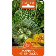 Тыква Марина из Киоджа 5шт