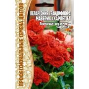 Пеларгония Грандифлора Маверик Скарлет F1 3шт