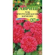 Астра Эрфуртский Карлик Кармезин 0,3 гр.