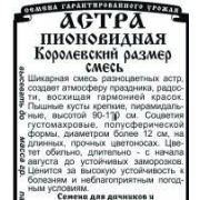 Астра Пионовидная Королевский Размер Смесь 0,2 гр.