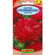 Астра Королевский Размер Красная