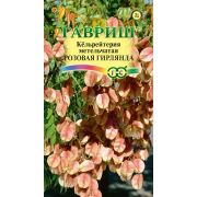 Кёльрейтерия Розовая Гирлянда 10шт