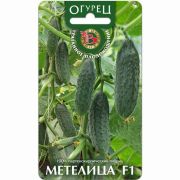 Огурец Метелица F1 8 шт.