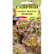 Скабиоза Драмстик Звездчатая 0,5 гр.