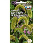 Сетария Зимний Букет 0,5 гр