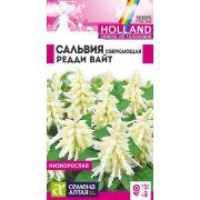 Сальвия Редди Вайт 5 шт.