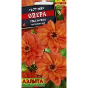 Георгина Опера Оранжевая 7 шт