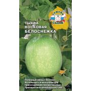 Тыква Восковая Белоснежка 0,2 гр.