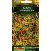Колеус Нежность Блюме