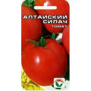 Томат Алтайский Силач
