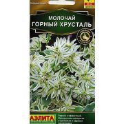 Молочай Горный Хрусталь