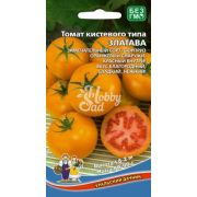 Томат Златава 12 шт