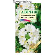 Вербена Кварц ХР Вайт 5 шт