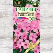 Бальзамин Уоллера Карнавал Блаш 4 шт