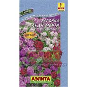 Вербена Леди Мечта смесь