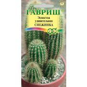 Эспостоа Снежинка 5 шт