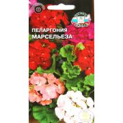 Пеларгония Марсельеза 5шт