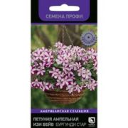 Петуния Изи Вейв Бургунди Стар 5 шт