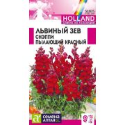 Львиный Зев Снэппи Пылающий красный 10шт