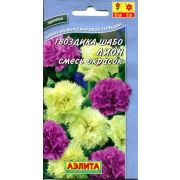 Гвоздика Шабо Пикоти Лион,смесь