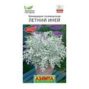 Цинерария Летний Иней 0,1 гр