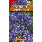 Вербена Синяя Ночь