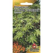 Клещевина Остров Зеленый